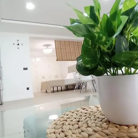 Apartamento Loft Alve Córdoba Exterior foto
